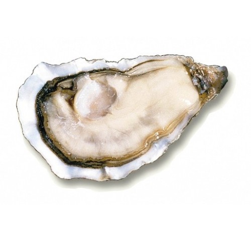 OSTRICA GILLARDEAU N3 12PZ - 1KG