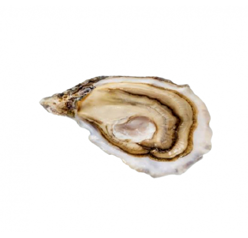 OSTRICA FINES DI NORMANDIA N3 12PZ - 1KG