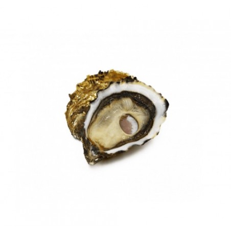 OSTRICA REGAL ORO N3 24 PZ - 2,25 KG