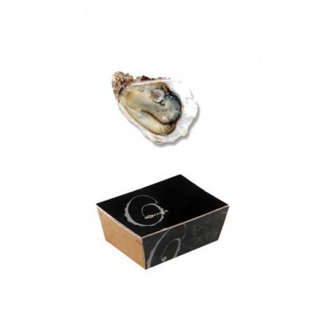 OSTRICA SPEC. MARENNE OLERON N3 36PZ 3KG