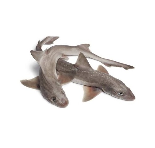 PALOMBO SPELLATO MAR ADRIATICO X4 KG