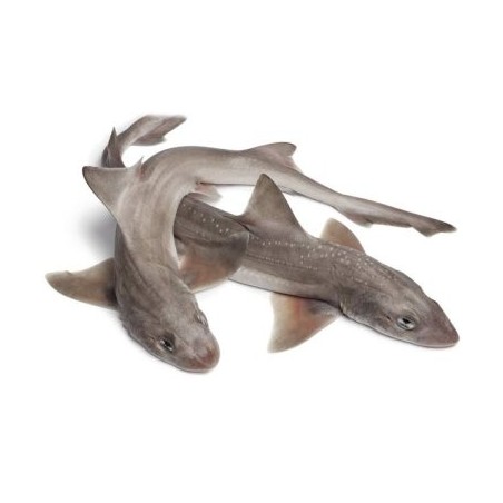 PALOMBO SPELLATO MAR ADRIATICO X4 KG