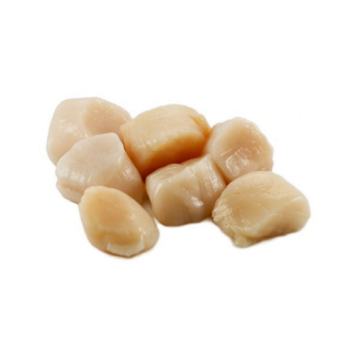 POLPA CAPASANTA USA S/CORALLO VASO X1 KG