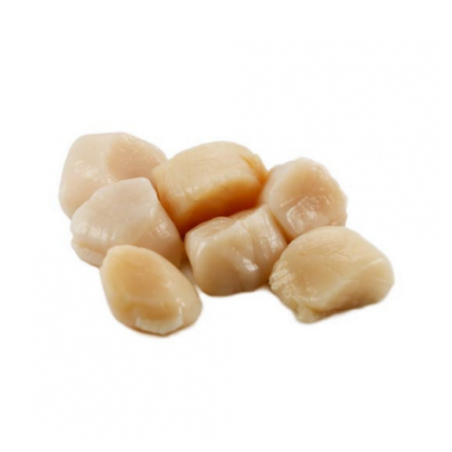 POLPA CAPASANTA USA S/CORALLO VASO X1 KG