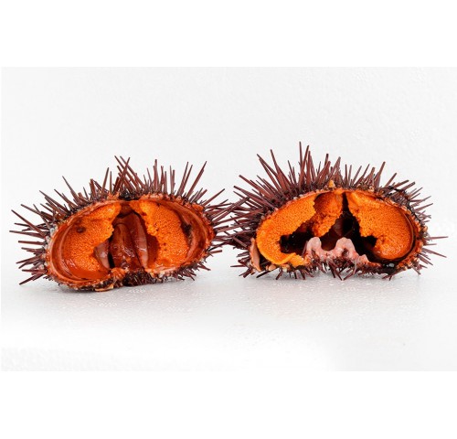 RICCI DI MARE GALIZIA X3 KG