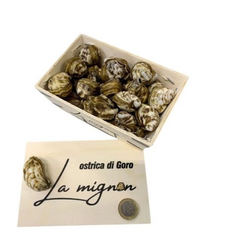 OSTRICA MIGNON DI GORO 30PZ - 0,500KG