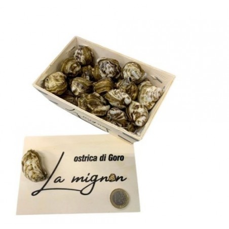 OSTRICA MIGNON DI GORO 30PZ - 0,500KG