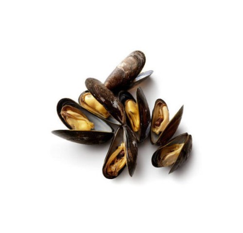 COZZA SPAGNA SPAZZOLATA RIEMERSA CDM 5KG