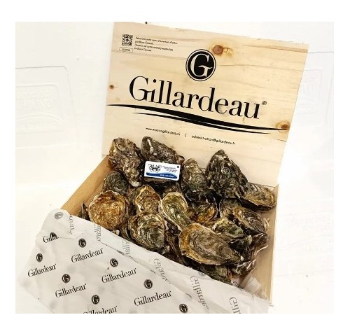 OSTRICA GILLARDEAU SPEC. N3+ 24PZ-2,50KG