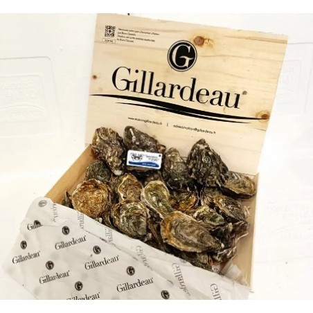 OSTRICA GILLARDEAU SPEC. N3+ 24PZ-2,50KG