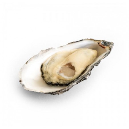 OSTRICA KYS N2 - 1KG