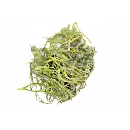 ALGA CODIUM X1 KG