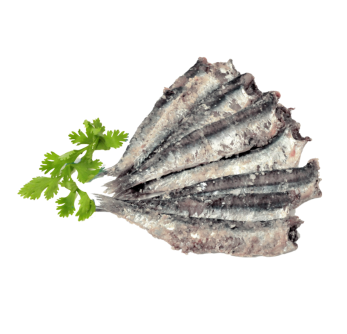 ACCIUGHE SALATE 5 KG