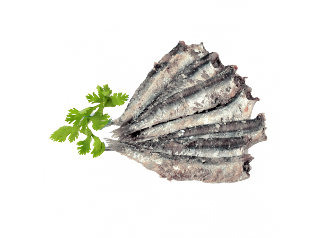 ACCIUGHE SALATE 5 KG
