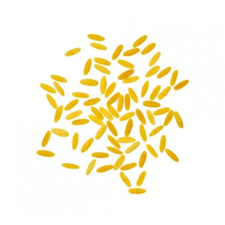 GRANAROLO 140 PUNTINE ALL'UOVO KG.1X6