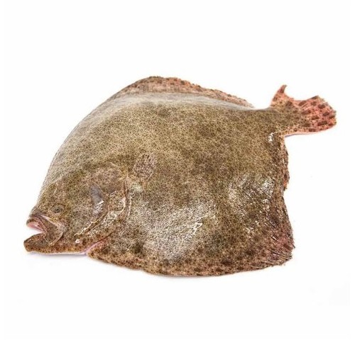 ROMBO CHIODATO ALLEV. 800/1000 X6 KG