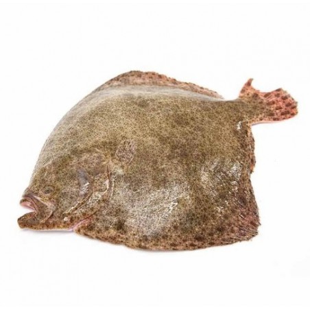 ROMBO CHIODATO ALLEV. 800/1000 X6 KG