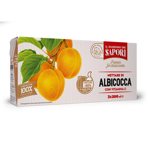 SUCCHI SAPORE ALBICOCCA BRICK  ML.200X24