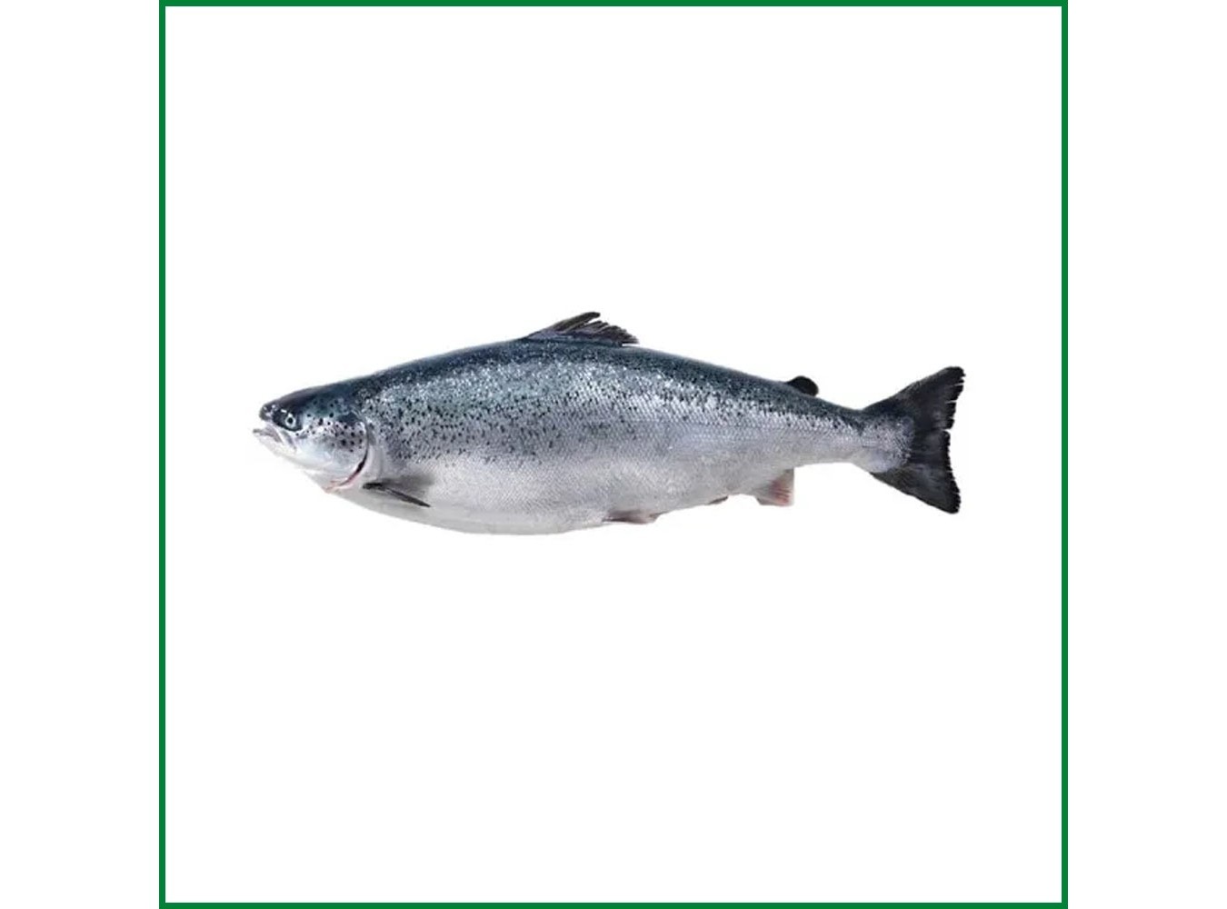 SALMONE 4/5 SUPERIOR ALL. NORVEGIAX20 KG