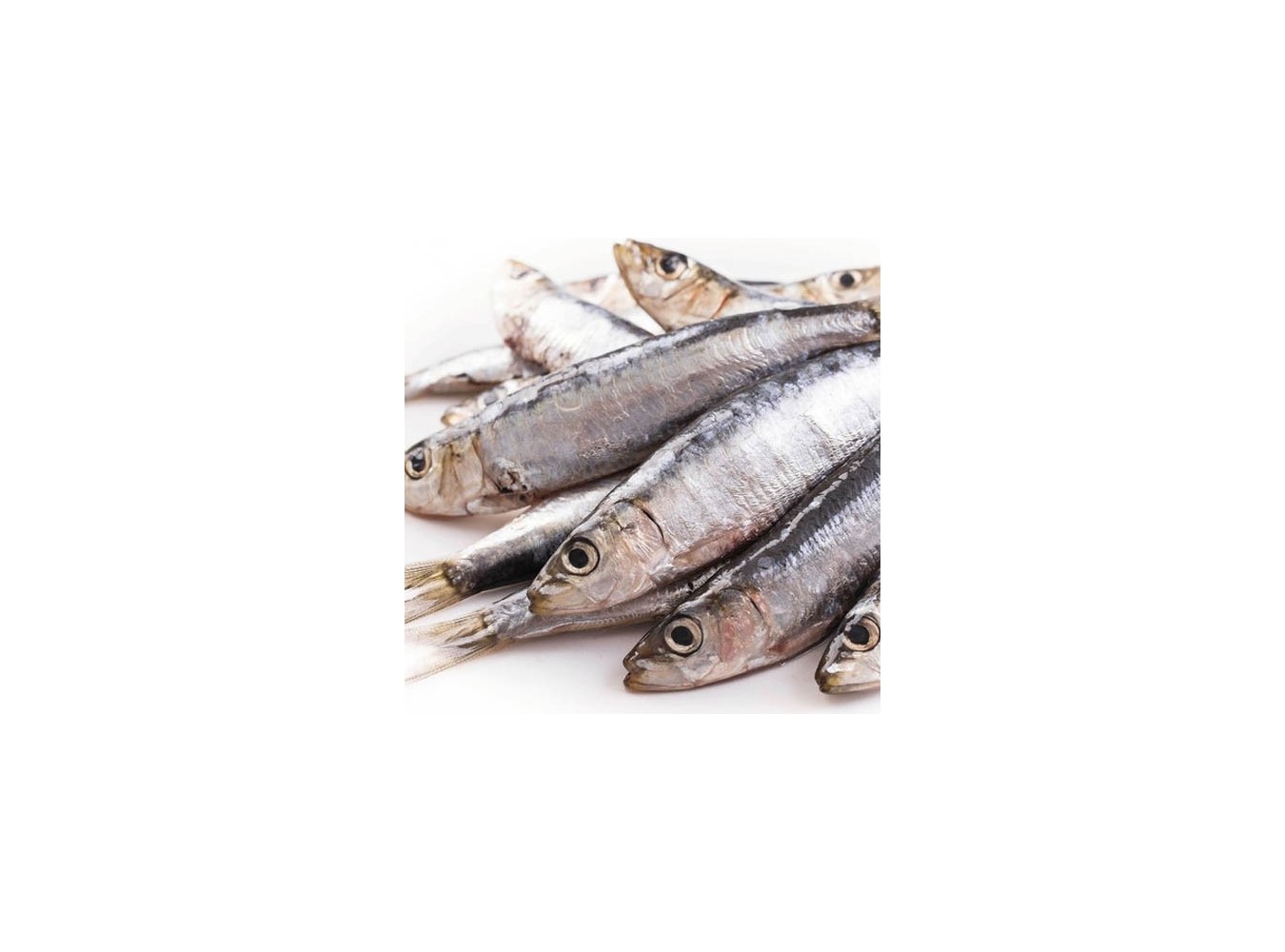 SARDINE PESCATE MAR ADRIATICO X7 KG