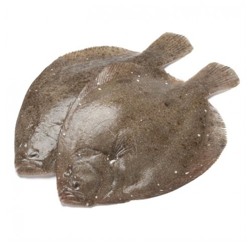 SOASO PESCATO OLANDA 300/600 X3 KG