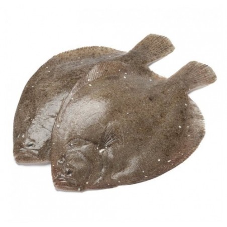 SOASO PESCATO OLANDA 300/600 X3 KG