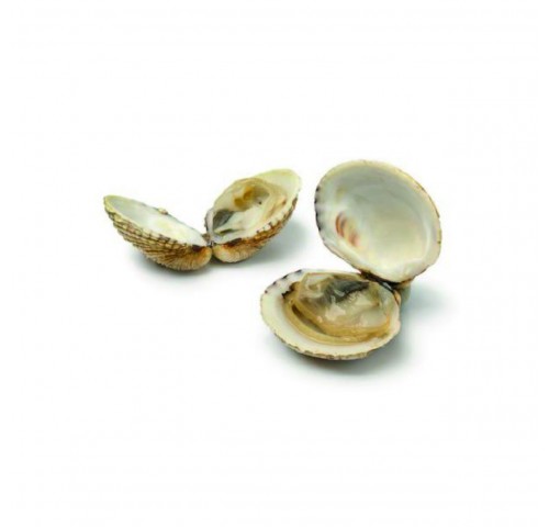 TARTUFO PESCATO X3 KG