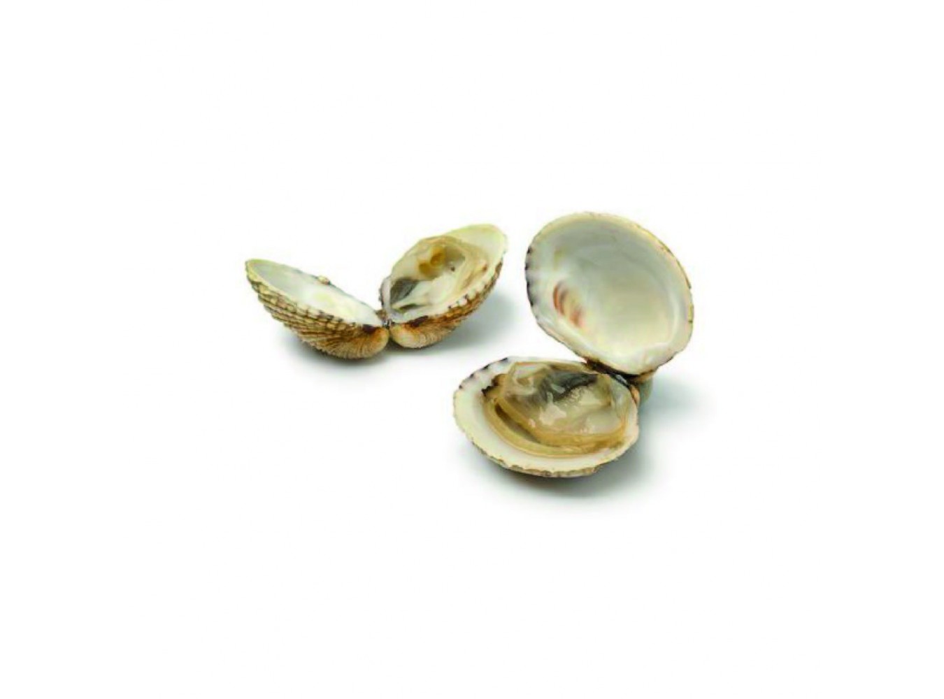 TARTUFO PESCATO X3 KG