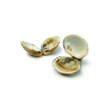 TARTUFO PESCATO X3 KG