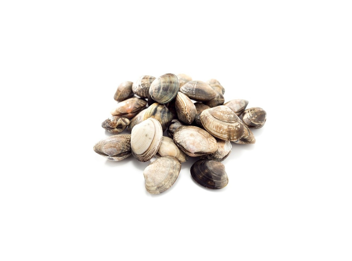 VONGOLA O LUPINO GROSSA X5 KG