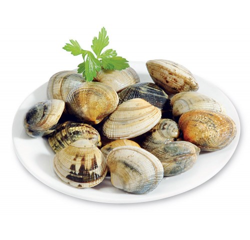 VONGOLA O LUPINO MEDIA X3 KG