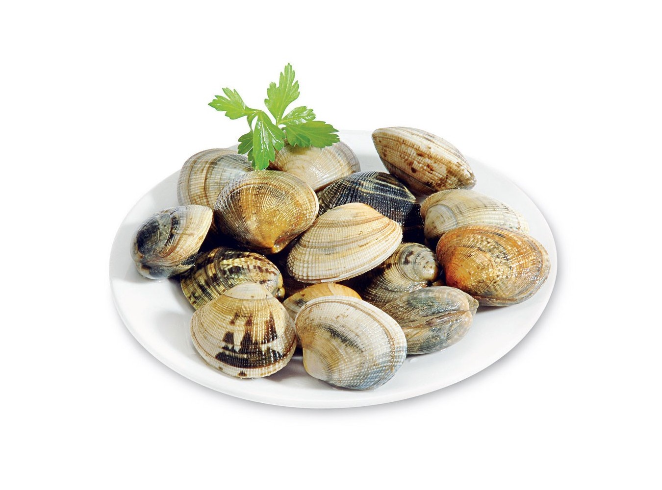 VONGOLA O LUPINO MEDIA X3 KG