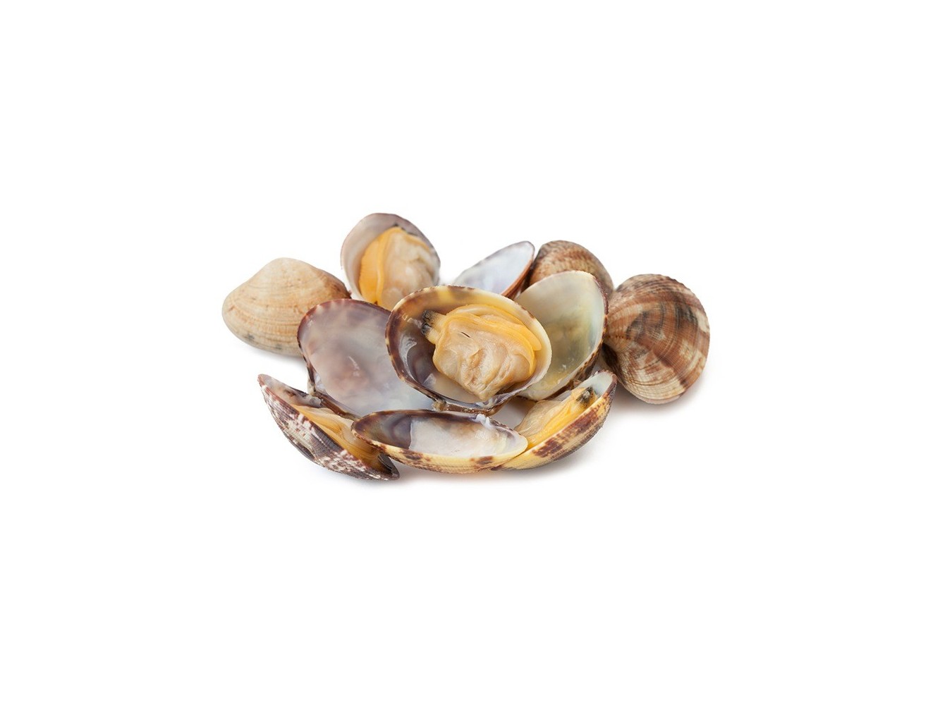 VONGOLA VERACE GROSSA X3 KG