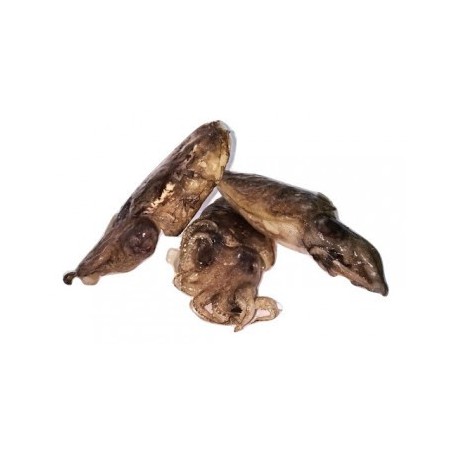 SEPPIA 80/100 E. X3 KG