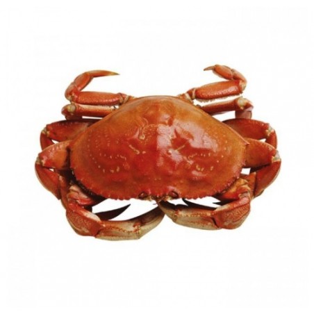 GRANCIPORRO ATLANTICO SUPER X5 KG