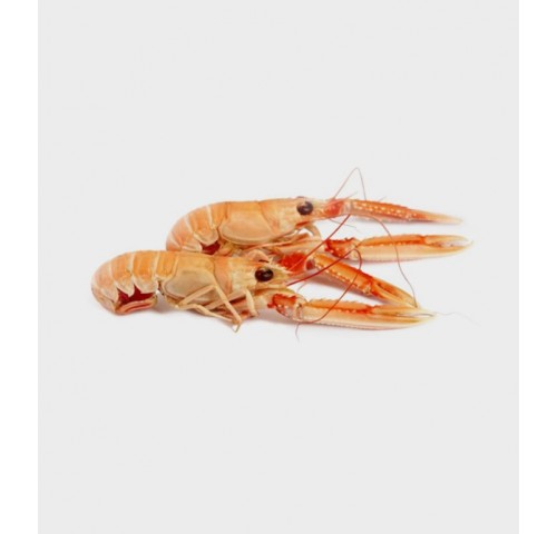 SCAMPO INTERO 21/30 DECONGELATO X3 KG