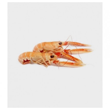 SCAMPO INTERO 21/30 DECONGELATO X3 KG