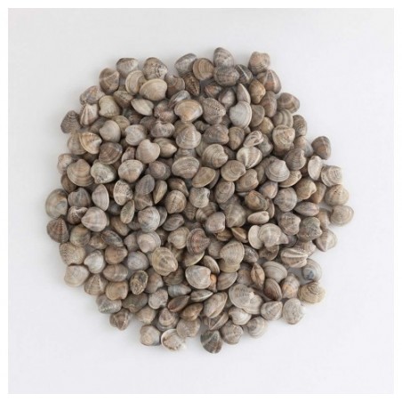 VONGOLA O LUPINO SUPER X5 KG