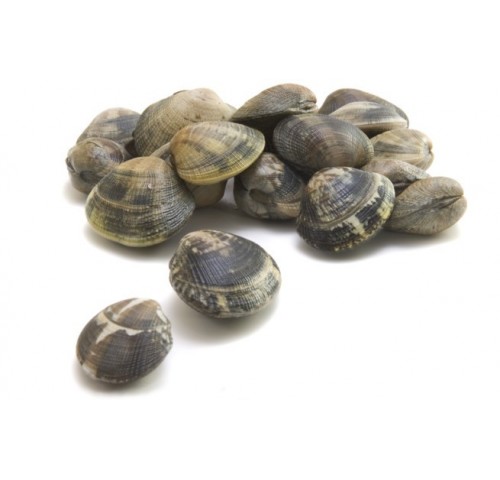 VONGOLA VERACE SELEZIONE X5 KG