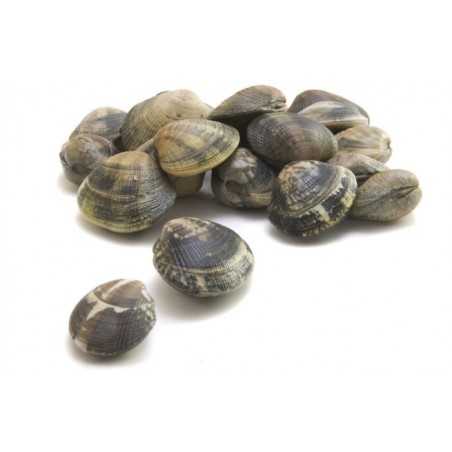 VONGOLA VERACE SELEZIONE X5 KG