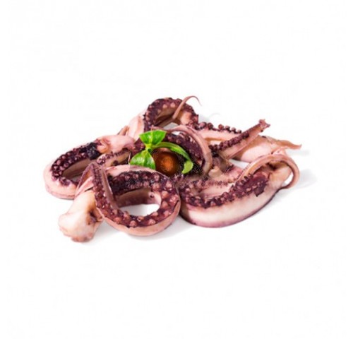 TENTACOLI TOTANO IN SALAMOIA X5 KG