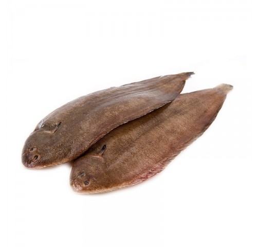 SOGLIOLA MAR ADRIATICO EXTRA 300/400G