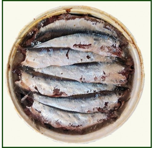 SARDINE SALATE EXTRA LATTA X5 KG
