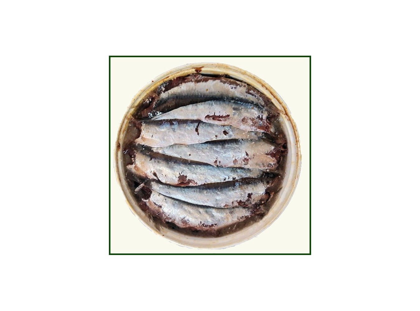 SARDINE SALATE EXTRA LATTA X5 KG