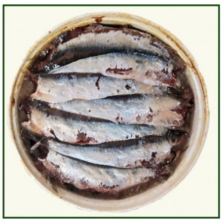 SARDINE SALATE EXTRA LATTA X5 KG
