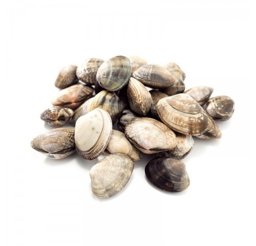 VONGOLA O LUPINO EXGROSSA X 5 KG VERDE