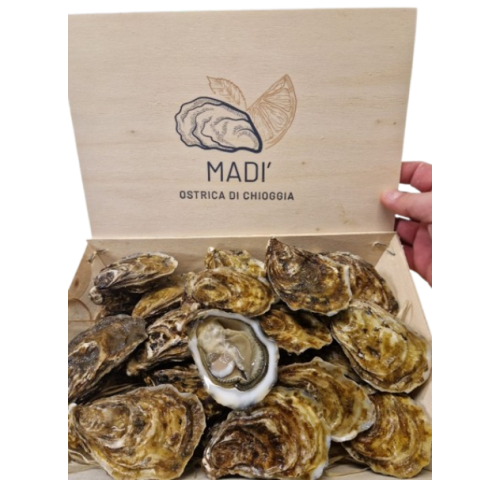 OSTRICA MADI' DI CHIOGGIA N3 2 KG