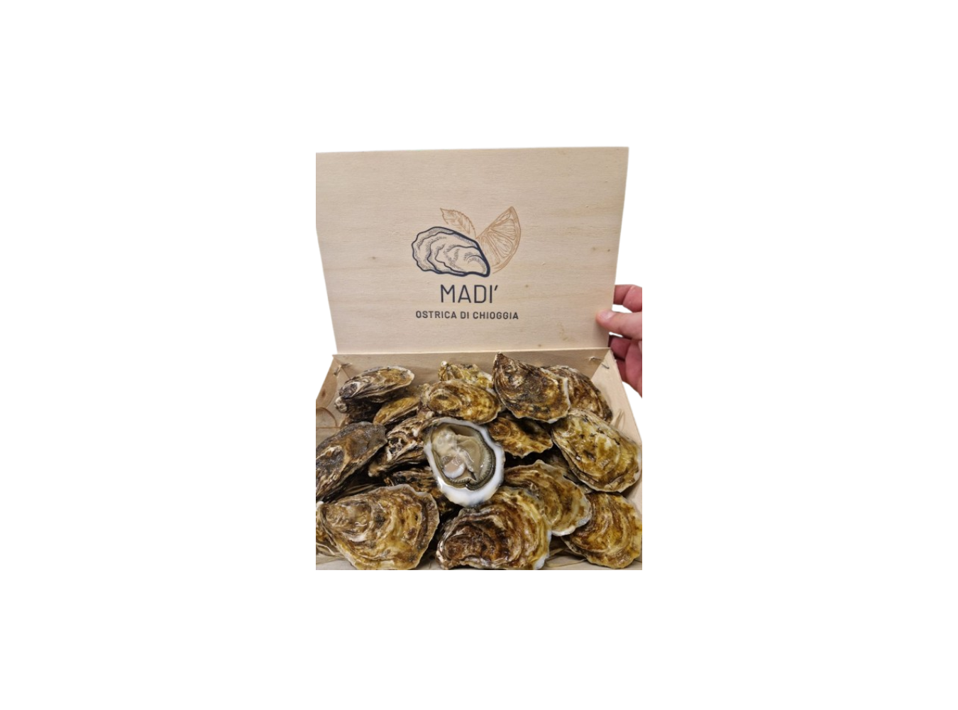 OSTRICA MADI' DI CHIOGGIA N3 2 KG