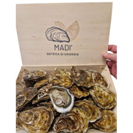 OSTRICA MADI' DI CHIOGGIA N3 2 KG