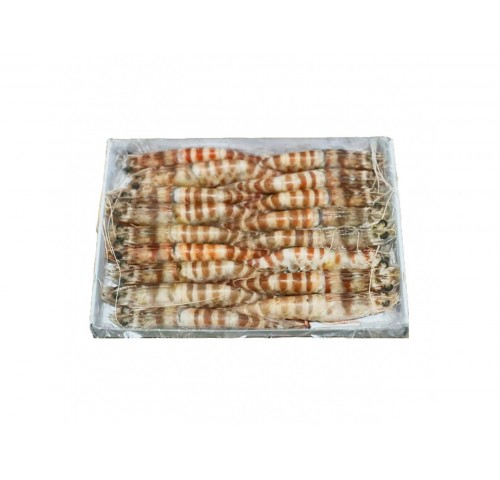 MAZZANCOLLE TIGRATE T1 16/20 AA KG.1X12